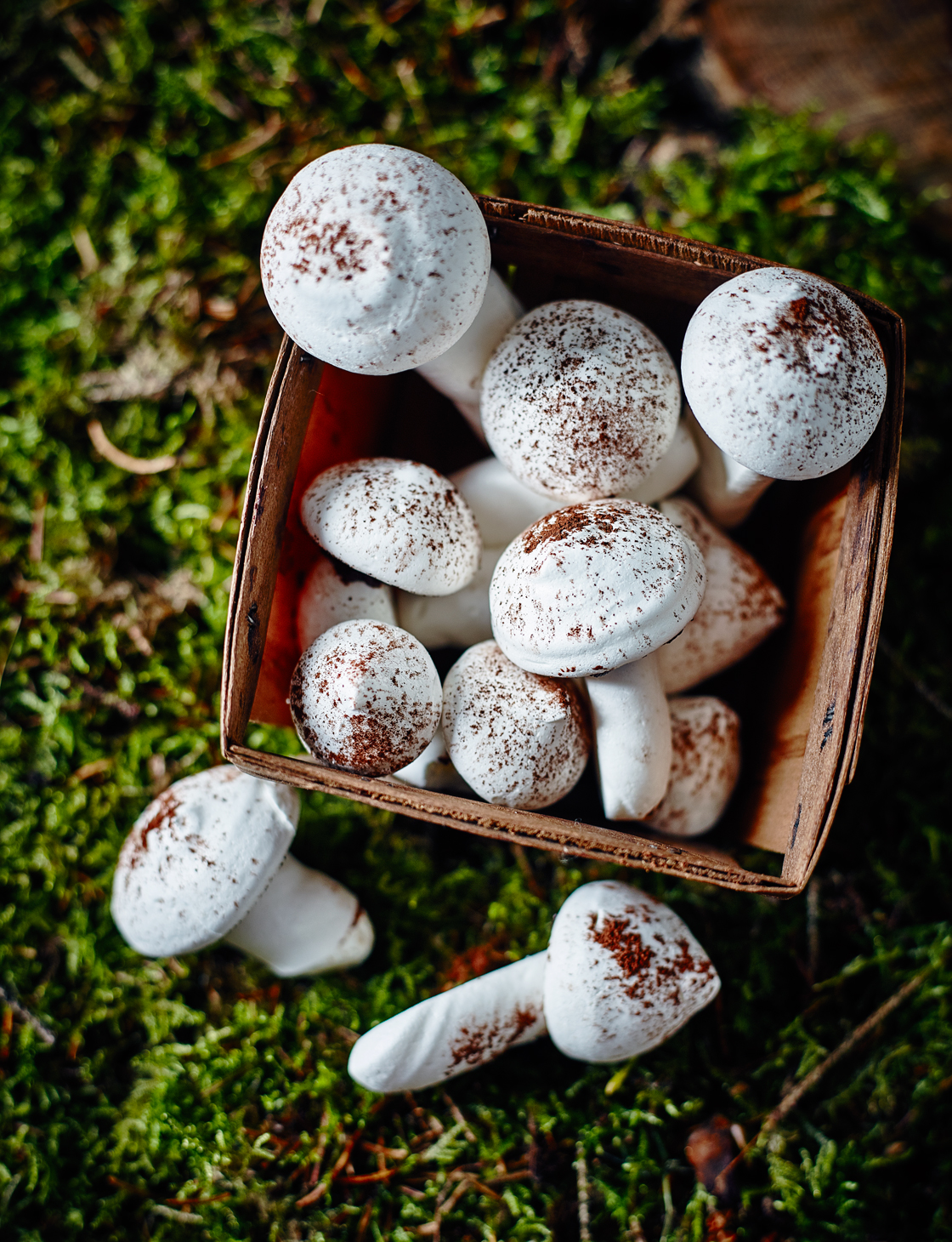 Meringue Mushrooms Recipe 
