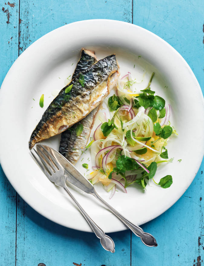 Roasted mackerel with fennel, red onion and apricot salad | Sainsbury's ...