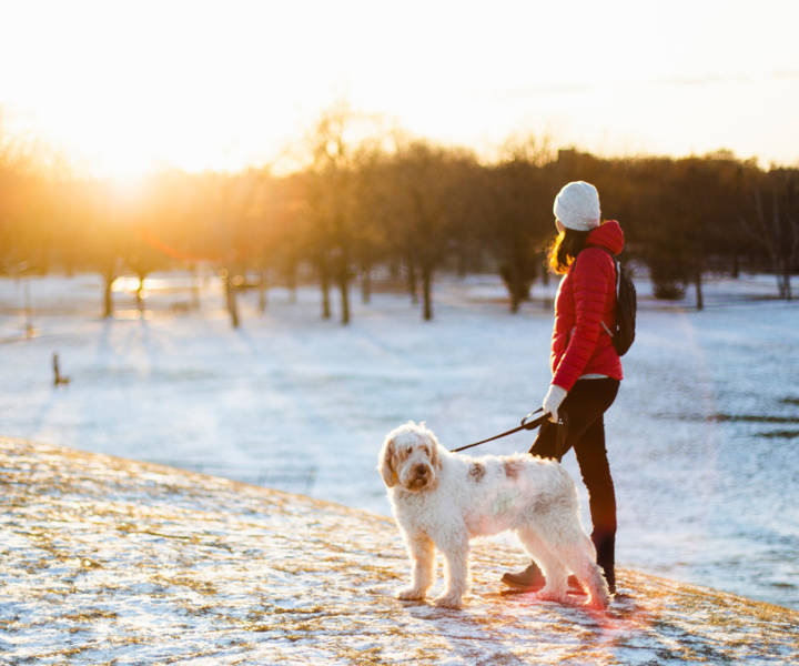 How to eat for warmth this winter