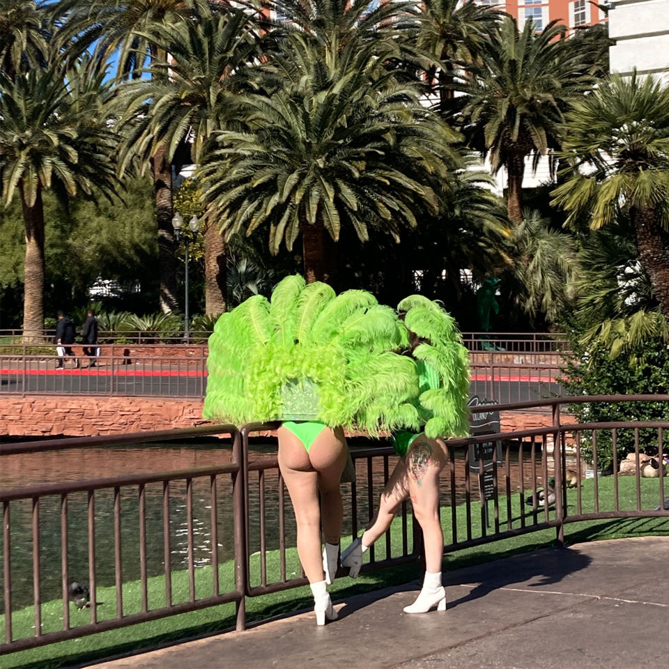 Peacock girls on the sidewalk