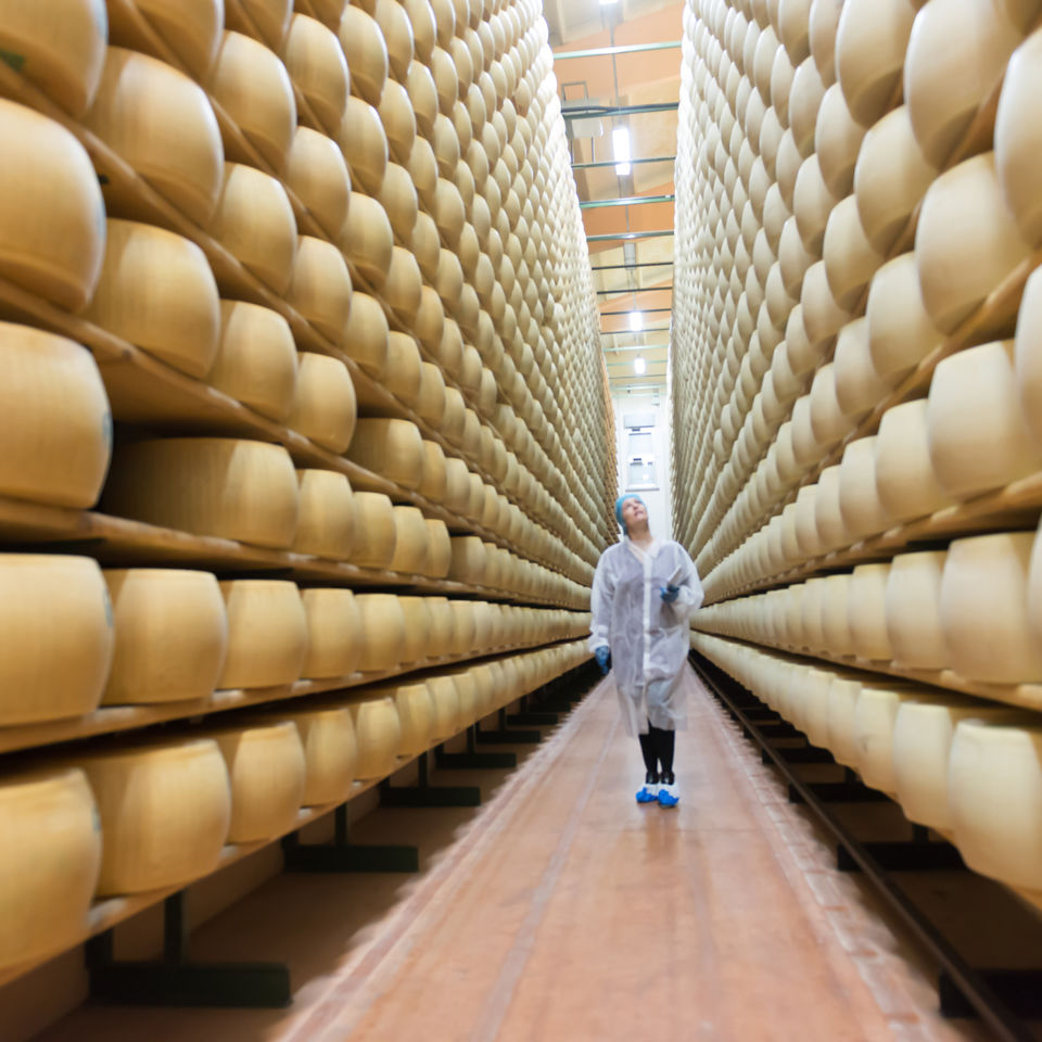 Parmesan-3